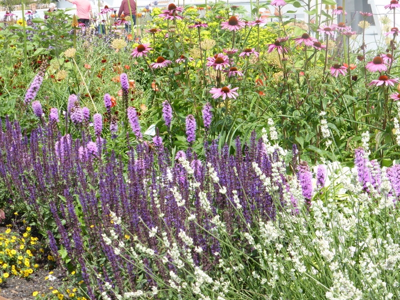 Landesgartenschau in Deggendorf