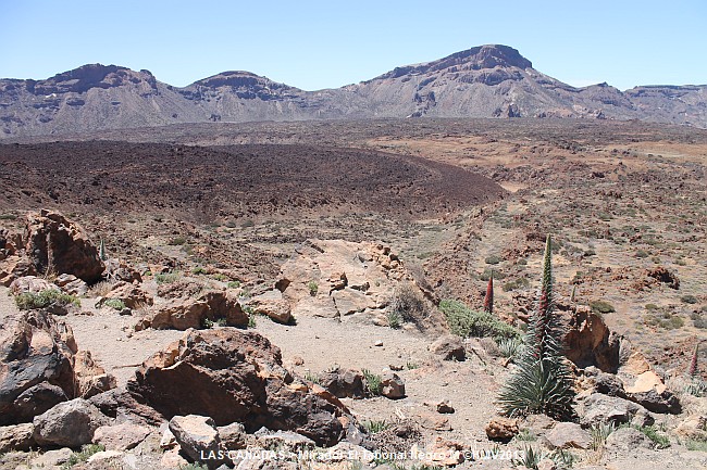 LAS CANADAS > Mirador El Tabonal Negro > Panoramablick M-