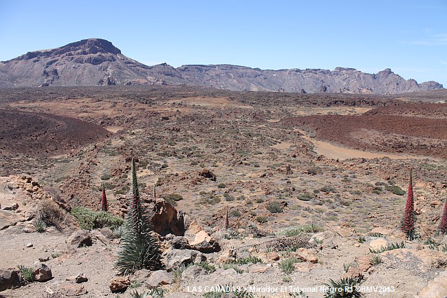 LAS CANADAS > Mirador El Tabonal Negro > Panoramablick R1