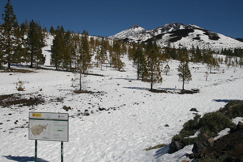 Teide  (3) 800