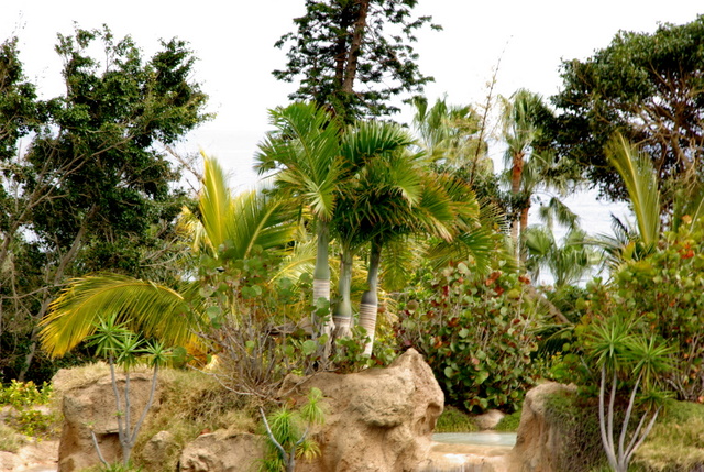 LORO PARQUE > Ein paar Eindrücke