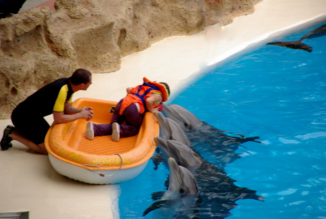 LORO PARQUE > 29_Delphinshow