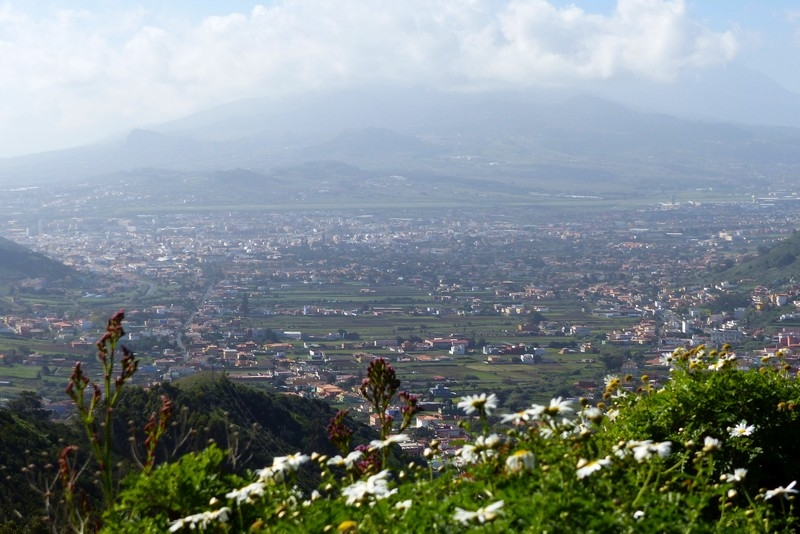 P1000935
