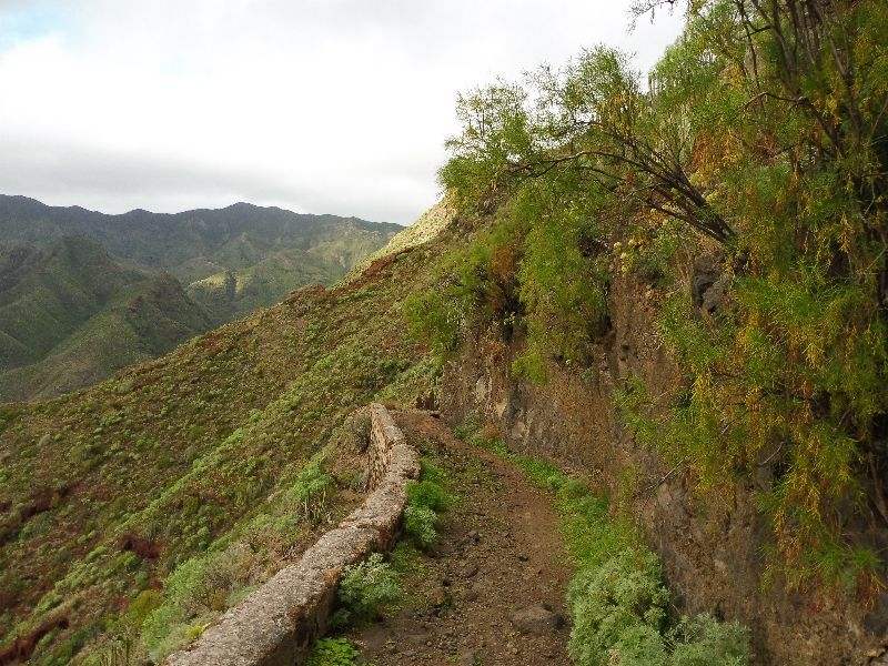 Teneriffa Igueste (19)