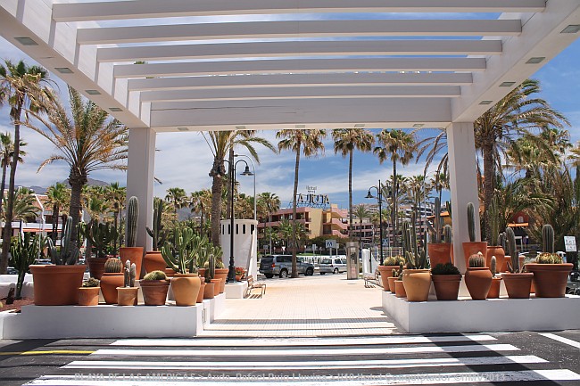 PLAYA DE LAS AMERICAS > Avda. Rafael Puig Lluvina > H10 Hotel Conquistador
