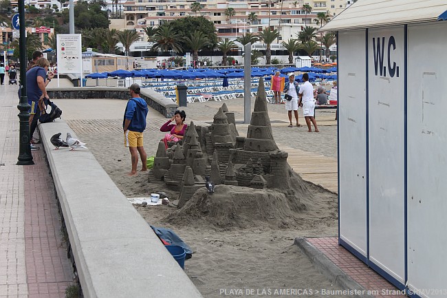 PLAYA DE LAS AMERICAS > Uferpromenade Süd > Baumeister neben der Strandtoilette