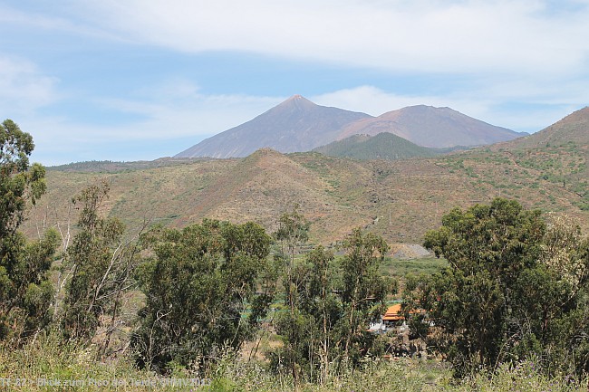 TF-82 > Blick zum Pico del Teide