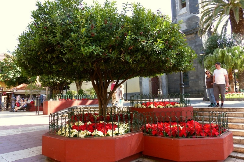 Puerta de la Cruz