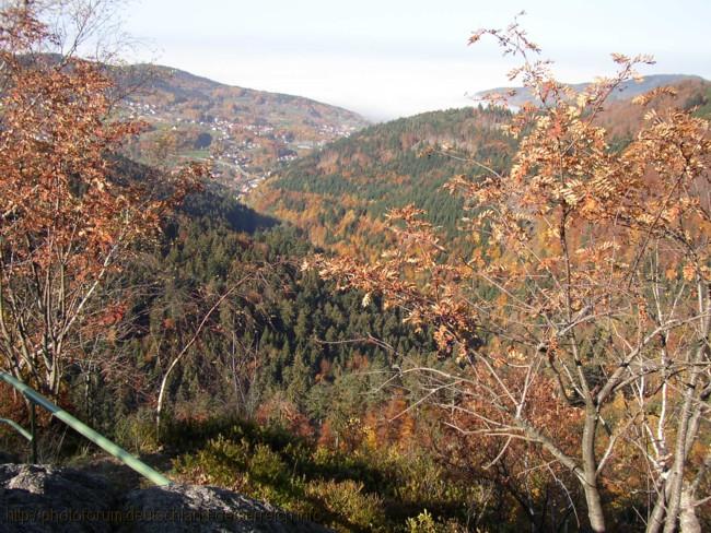 SCHWARZWALD > Bühlertal > Wiedenfelsen