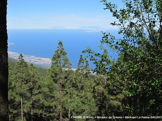 MIRADOR DE ORTUNO > Ausblick La Palma