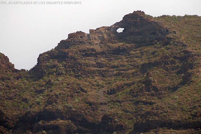 ACANTILADOS DE LOS GIGANTES > Steilküstendetail 05