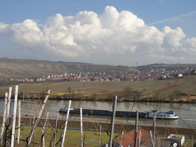 NECKAR > Mundelsheim > Weinort