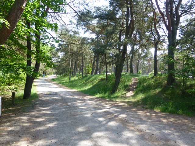 Usedom > Ostseebad Trassenheide > beim Caming Ostseebick 8