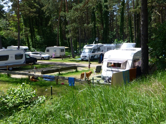 Usedom > Ostseebad Trassenheide > beim Caming Ostseebick 3