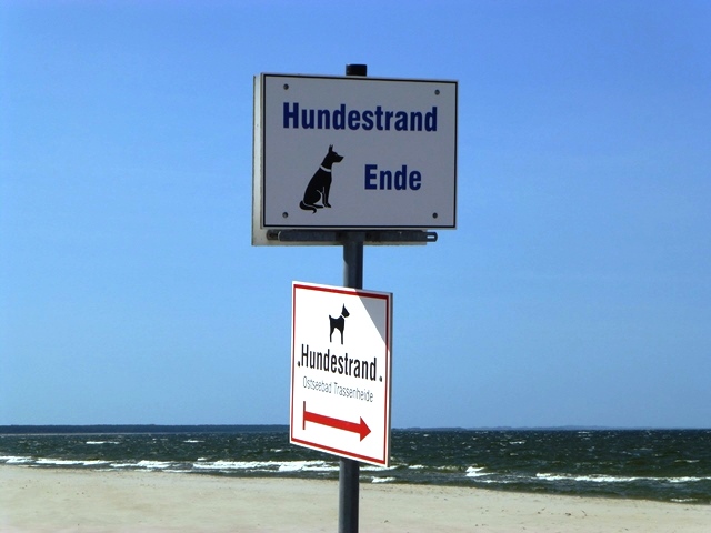 Usedom > Trassenheide > Am Hundestrand 3
