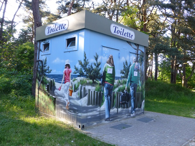 Usedom > Wald vor den Dünen bei Trassenheide und Strand 4