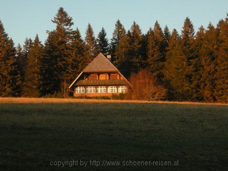 FELDBERG > Weg nach Feldberg