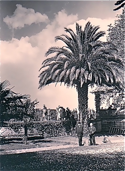 1936,Mainau