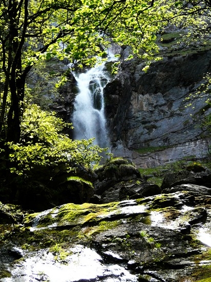 Zu dem Röthbachwasserfall