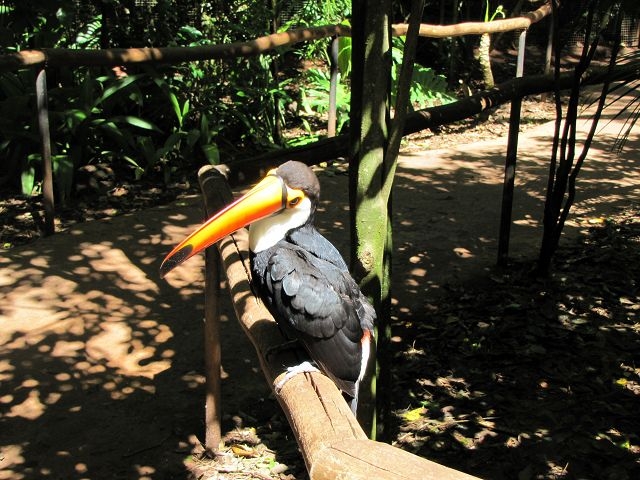 Vogelpark