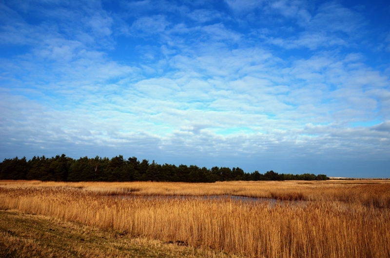 Zingst DSC_6218