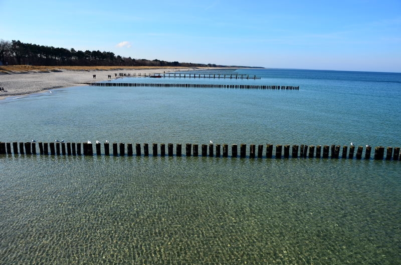 Fischland-Darß-Zingst DSC_6338