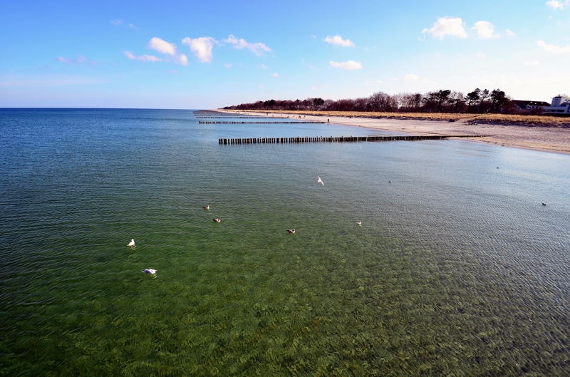 Fischland-Darß-Zingst DSC_6341