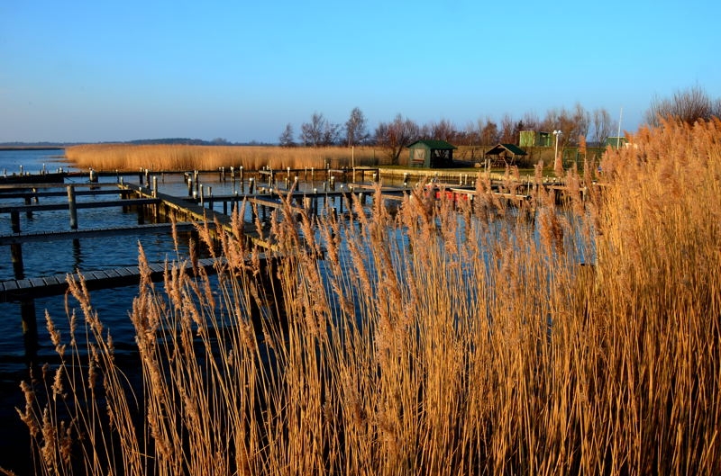 Zingst DSC_6512