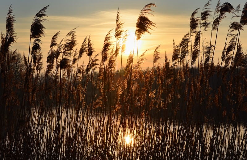 Zingst DSC_6524