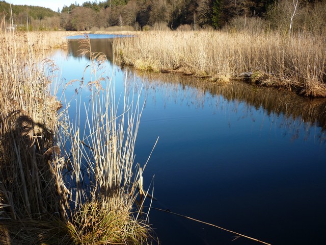 Deininger Weiher u. Zauberwald 7