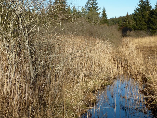 Deininger Weiher u. Zauberwald 2