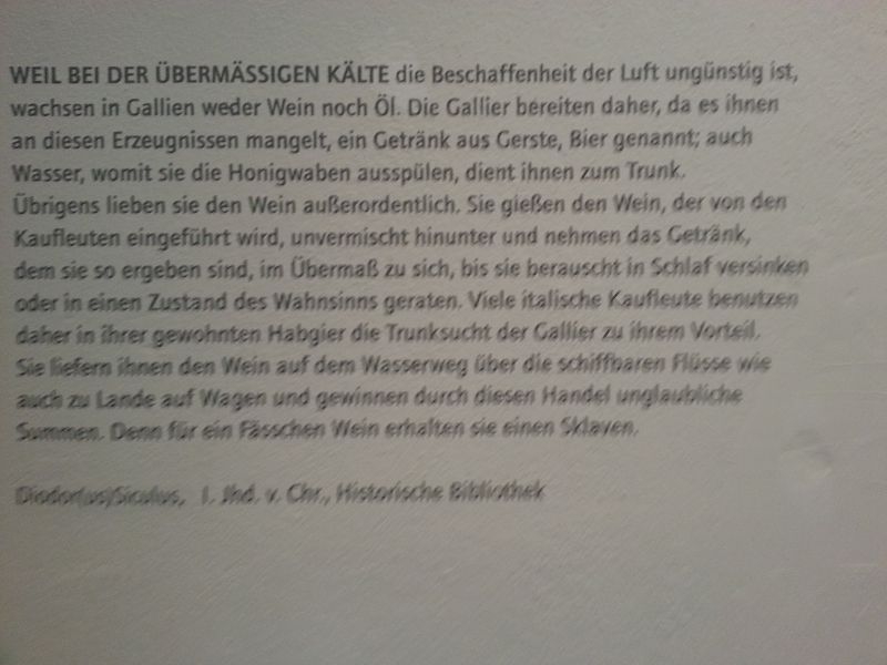 keltenmuseum120140405_155048