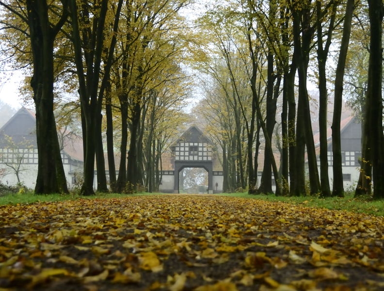 Bauernhof Hullern_DSC3536