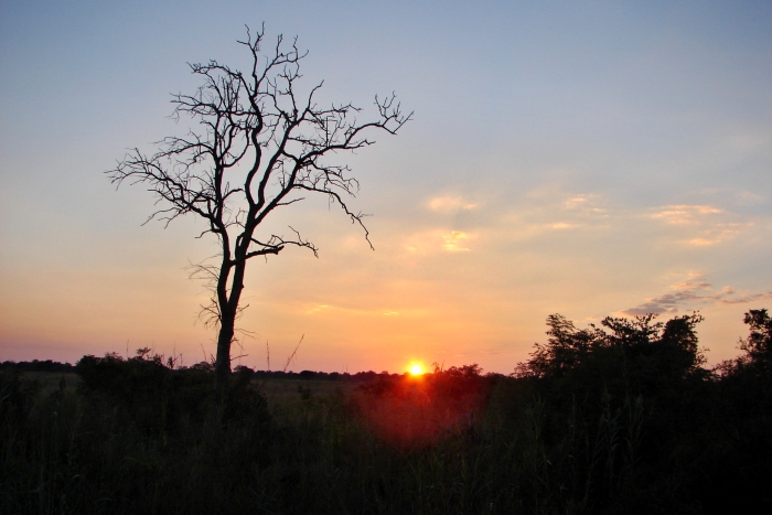 Sonnenuntergang am Sambesi