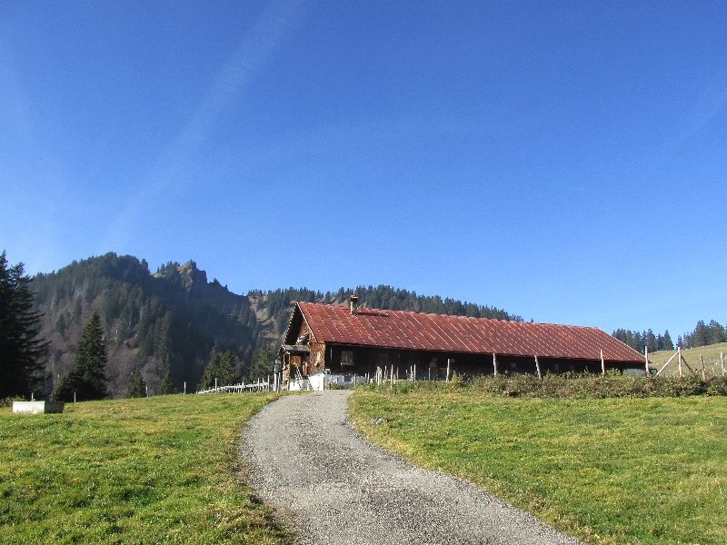 Steineberg 11.2015 013