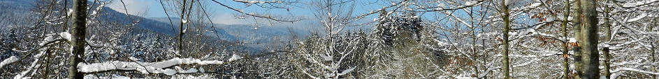 Bayrischer Wald > Falkenstein