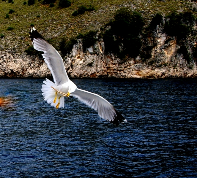 Ausflug nach Cres