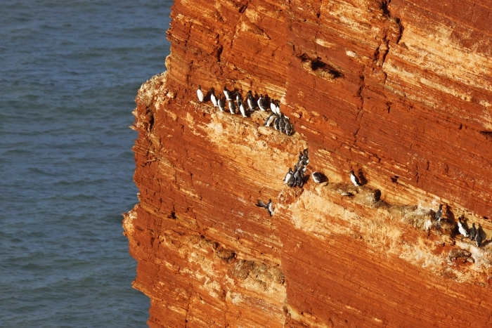 Helgoland1-16