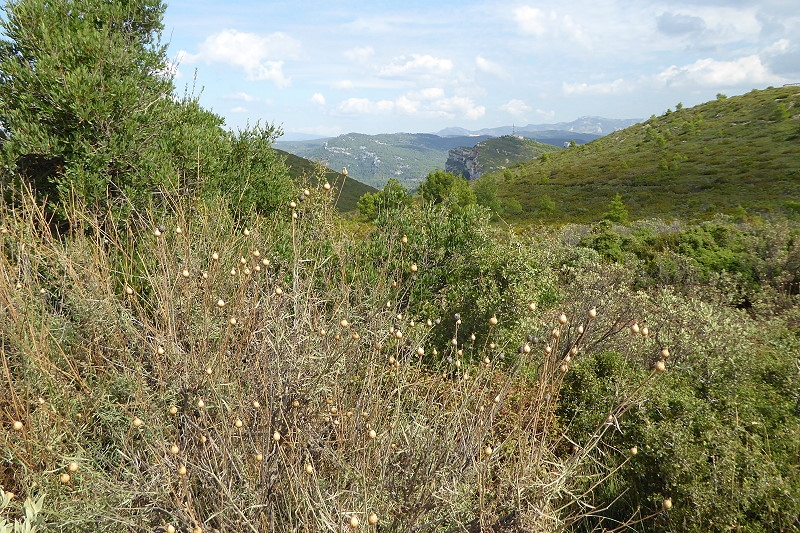 011 8 Route des Cretes  (37)