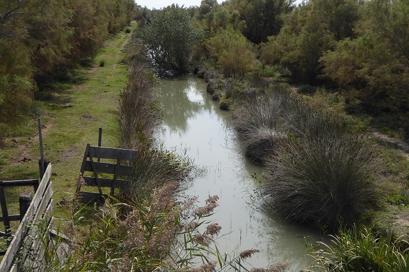 03 8 Camargue 113