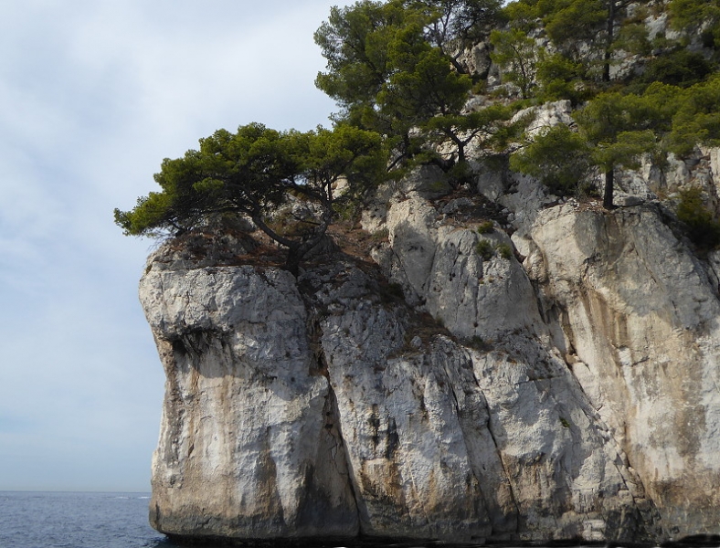 15 8  Calanques La Ciotat 082