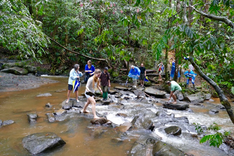 Sinharaja Regenwald > Wanderung