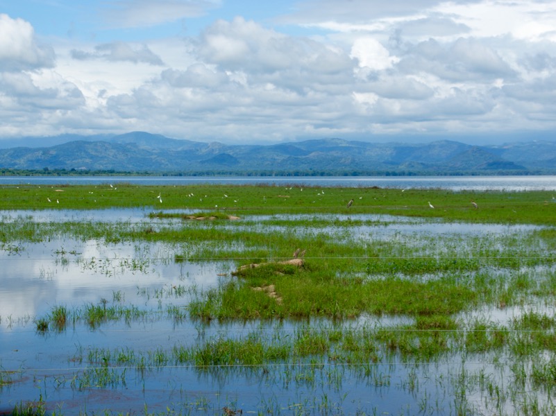 Udawalawe Nationalpark > Stausee