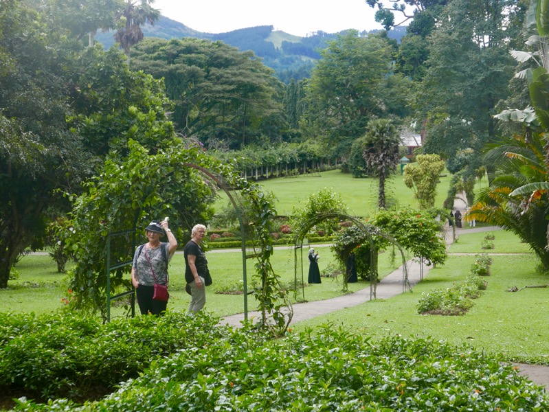 Kandy > Botanischer Garten Peradeniya