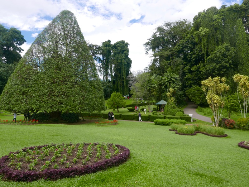 Kandy > Botanischer Garten Peradeniya