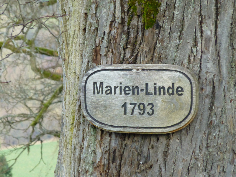 D:Hessen>Burg Breuberg>Marienlinde>Schild