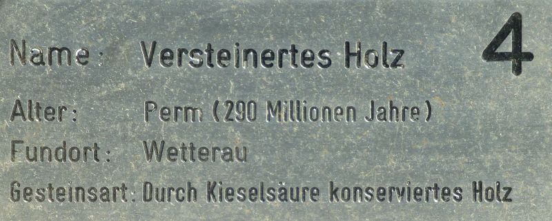 D:Hessen>Büdingen>Altstadtparkplatz>versteinertes Holz>Schild