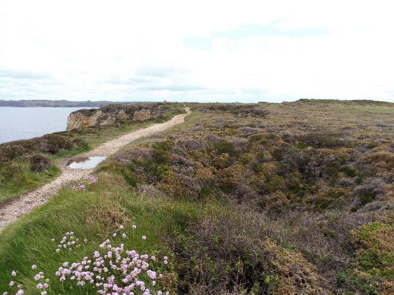 Camaret-sur-Mer (26)