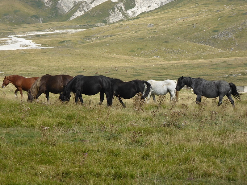 Gran Sasso (13)