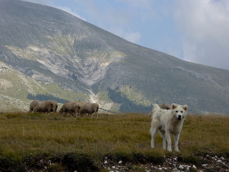 Gran Sasso (31)